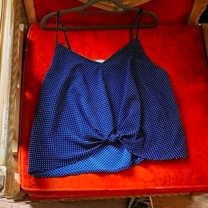 Blue poka dot crop top